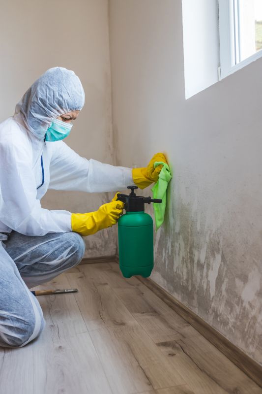 Basement Drying in Chandler, AZ