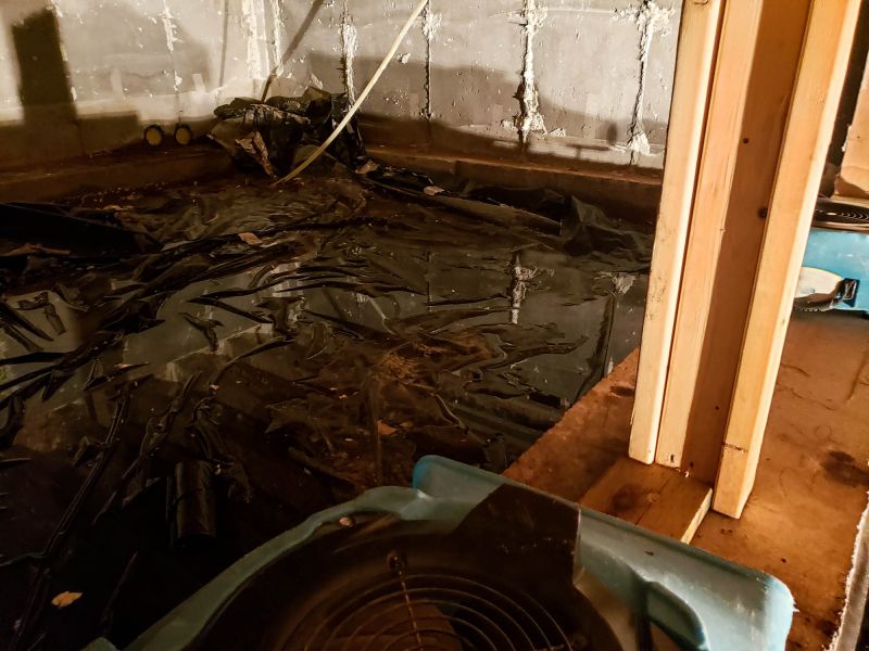 Basement Water Extraction in Mesa, AZ