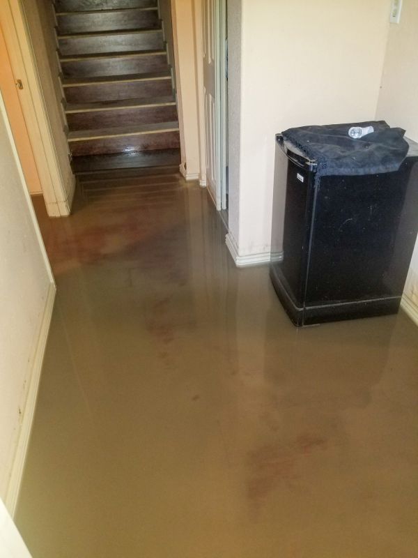 Basement Water Removal in Scottsdale, AZ