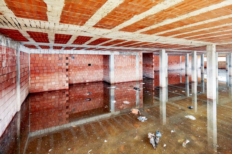 Basement Water Removal in Phoenix, AZ