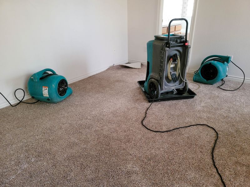 Flood Cleanup Service in Gilbert, AZ