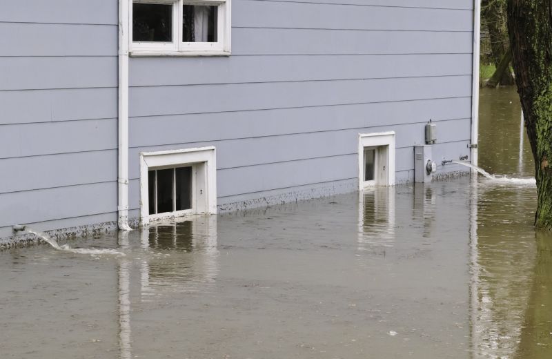 Flood Cleanup Service in Chandler, AZ