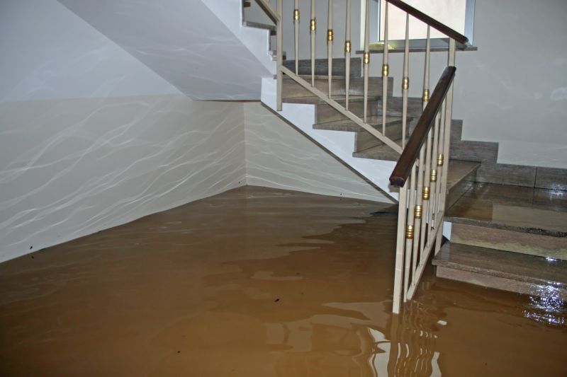 Flooded Basement Cleanup in Gilbert, AZ