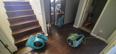 Storm Recovery Service in Phoenix, AZ