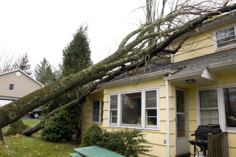Storm Recovery Service in Mesa, AZ