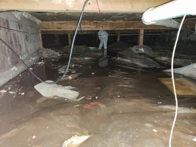 Water Removal Service in Scottsdale, AZ