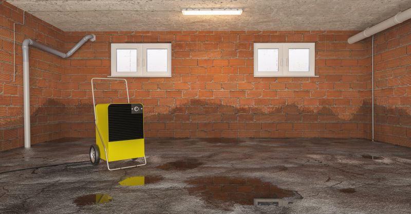 Basement Water Extraction in Phoenix, AZ